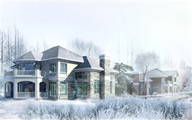 3Dデザイン、家、冬、雪