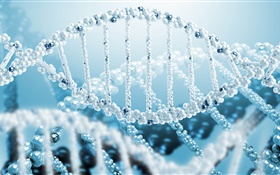 3D科学、らせん状のDNA