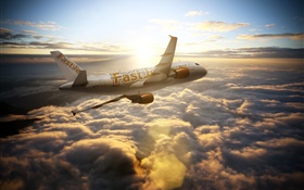 エアバスA300航空機、空、雲、太陽の光 HDの壁紙