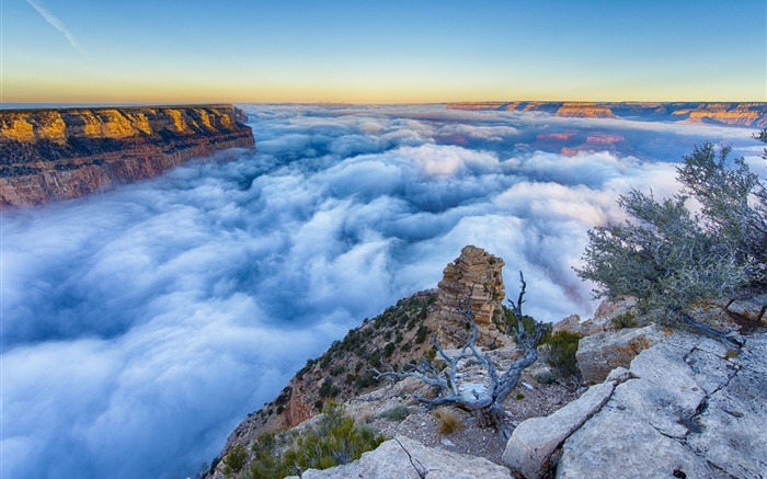 米国アリゾナ州、グランドキャニオン、朝、日の出、霧、雲 壁紙 ピクチャー