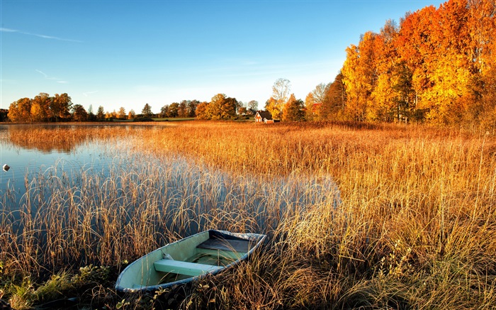 秋、湖、草、ボート、木、家 壁紙 ピクチャー