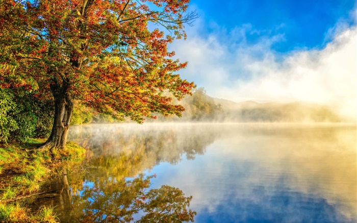 秋の風景、湖、霧、森 壁紙 ピクチャー