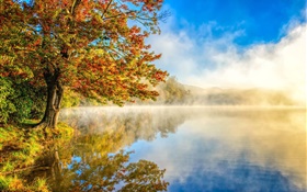 秋の風景、湖、霧、森 HDの壁紙