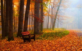 秋、木、葉、公園、道路、ベンチ HDの壁紙