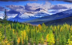 バンフ国立公園、アルバータ州、カナダ、山、空、森、木 HDの壁紙