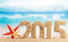 ヒトデとビーチ、2015年新年 HDの壁紙