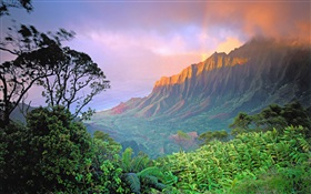 美しい風景、山、日の出、アメリカ HDの壁紙