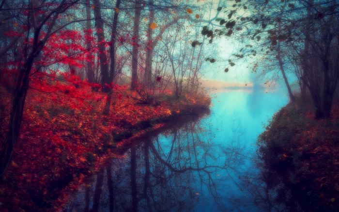 美しい自然の風景、秋、川、木、紅葉 壁紙 ピクチャー