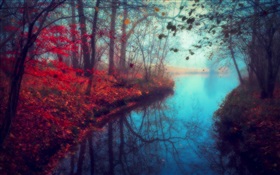美しい自然の風景、秋、川、木、紅葉 HDの壁紙