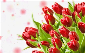 花束、花、赤いチューリップ HDの壁紙