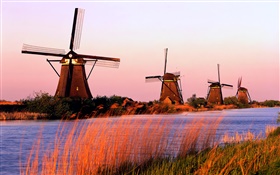 オランダの風景、風車、川、夜