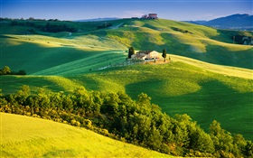 イタリア、緑の野原、美しい風景