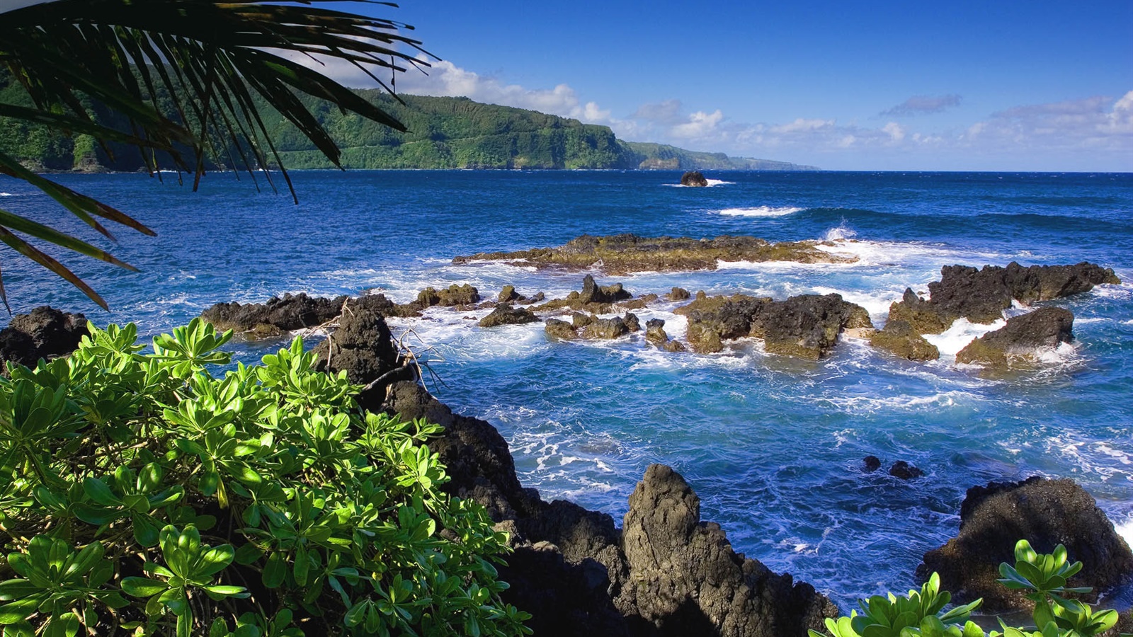 マウイ島 ハワイ アメリカ 海 デスクトップの壁紙 1600x900 壁紙をダウンロード Ja Hdwall365 Com