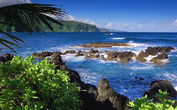 マウイ島、ハワイ、アメリカ、海 壁紙 ピクチャー