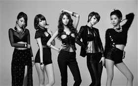 ナインミューズ、韓国の音楽の女の子 09 HDの壁紙