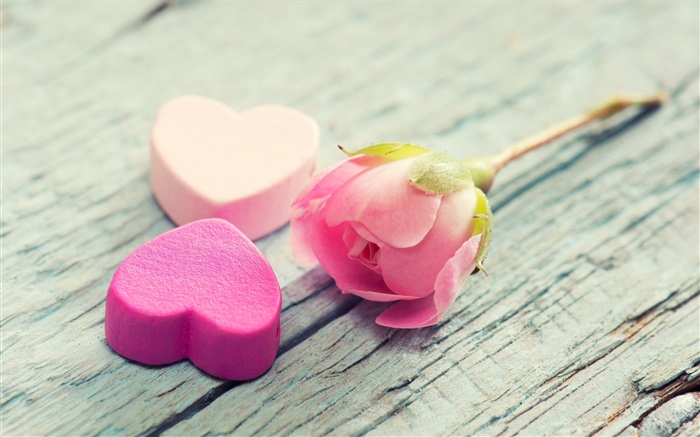 ピンクのバラとハート型の愛 壁紙 ピクチャー