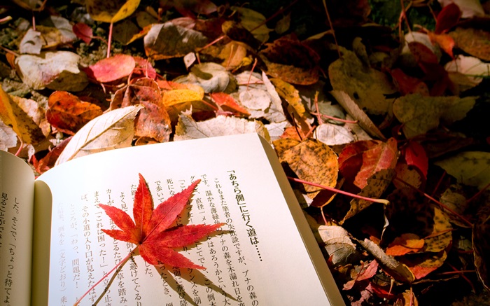 赤葉、日本語の本 壁紙 ピクチャー