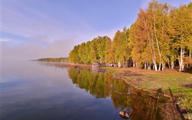 ロシア、バイカル湖、木 HDの壁紙