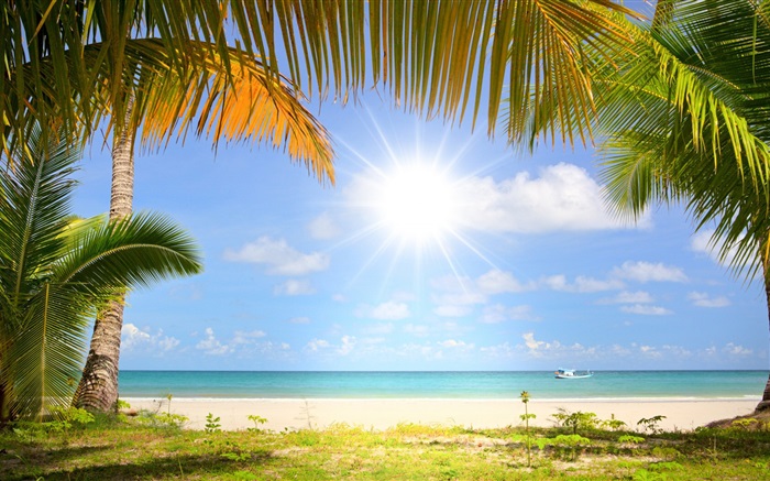 トロピカルビーチ、太陽の光、ヤシの木 壁紙 ピクチャー