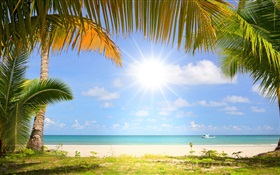 トロピカルビーチ、太陽の光、ヤシの木