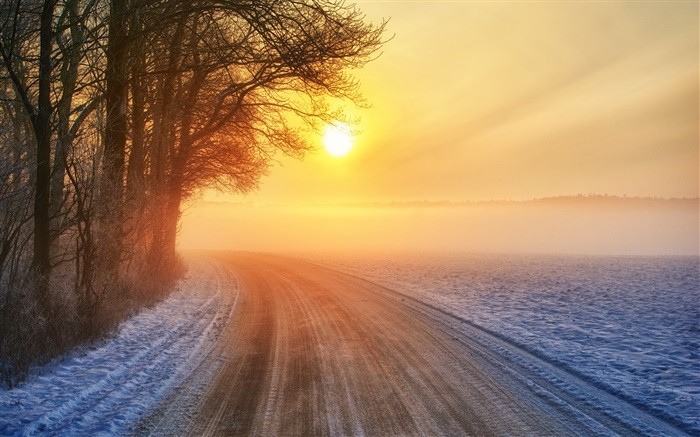 冬の日の出、道路、霧、木 壁紙 ピクチャー
