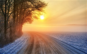 冬の日の出、道路、霧、木
