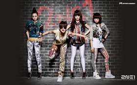 2NE1、韓国音楽の女の子 02 HDの壁紙