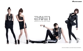 2NE1、韓国音楽の女の子 03 HDの壁紙