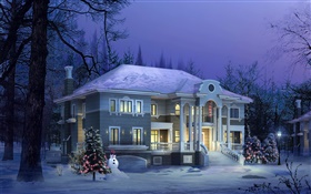 3Dデザイン、冬の家、雪、夜