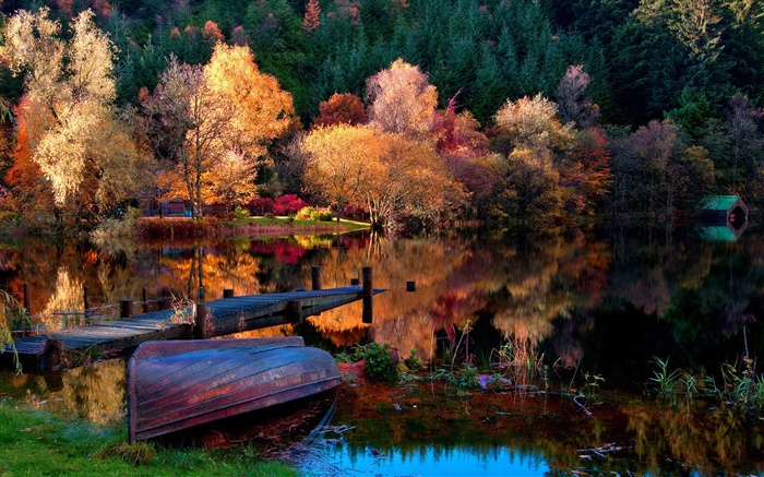 秋、木、桟橋、ボート、湖、水の反射 壁紙 ピクチャー