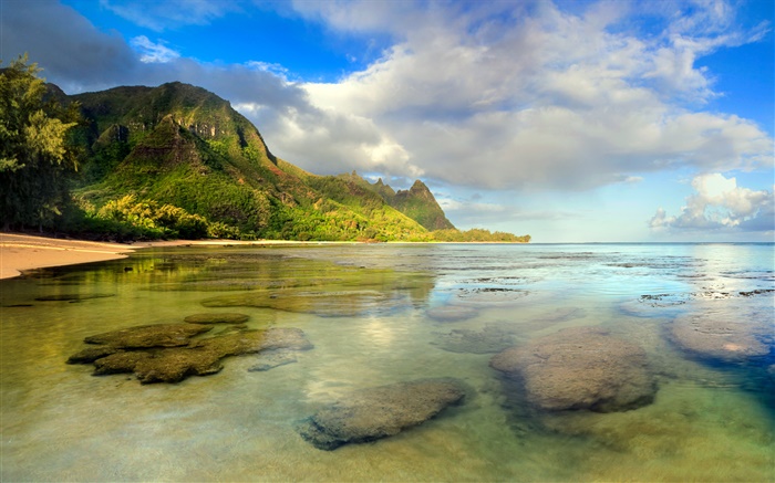 ハワイのビーチ、サンゴ礁、水中、カウアイ島、 壁紙 ピクチャー