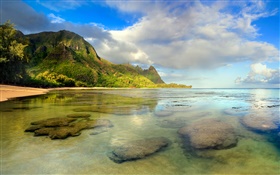 ハワイのビーチ、サンゴ礁、水中、カウアイ島、 HDの壁紙