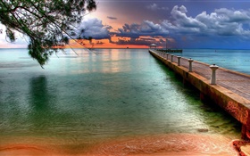 ビーチ、海、桟橋、木、雲、夕日 HDの壁紙