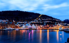 ベルゲン、ノルウェー、都市、夜、家、海、船、ライト