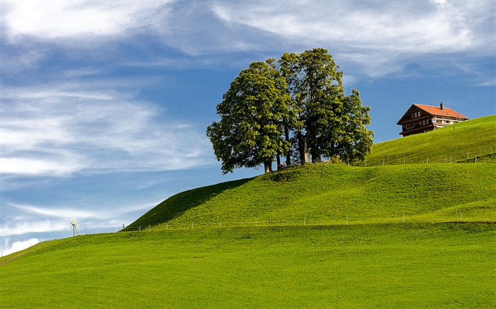 青い空、草、木、家、丘の中腹、アインジーデルン、シュヴィーツ、スイス 壁紙 ピクチャー