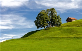 青い空、草、木、家、丘の中腹、アインジーデルン、シュヴィーツ、スイス HDの壁紙