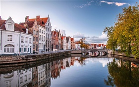 ブリュッセル、ベルギー、家、川、橋、木、秋 HDの壁紙