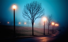 市、夜、霧、街路、公園、ライト