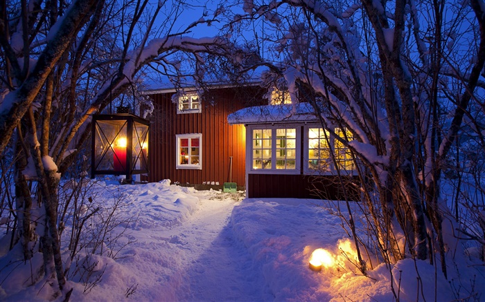 カントリーコテージ、雪に覆われた木、スウェーデン、夜、ライト 壁紙 ピクチャー