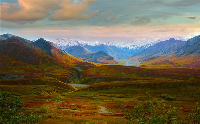 デナリ国立公園、アラスカ、アメリカ、美しい風景、丘、川 壁紙 ピクチャー