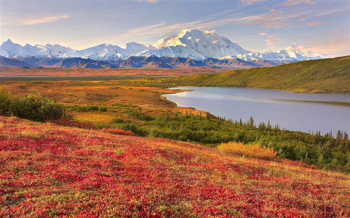デナリ国立公園、アラスカ、アメリカ、草、湖、山 壁紙 ピクチャー