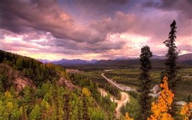 デナリ国立公園、アラスカ、アメリカ、道路、木、雲 HDの壁紙