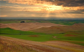 農地、丘、雲、夕日 HDの壁紙