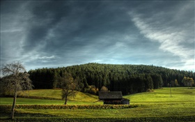農地、家、木、雲 HDの壁紙