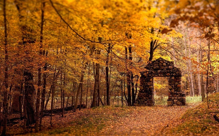 森、木、秋、赤スタイル、石の門 壁紙 ピクチャー