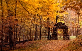 森、木、秋、赤スタイル、石の門 HDの壁紙