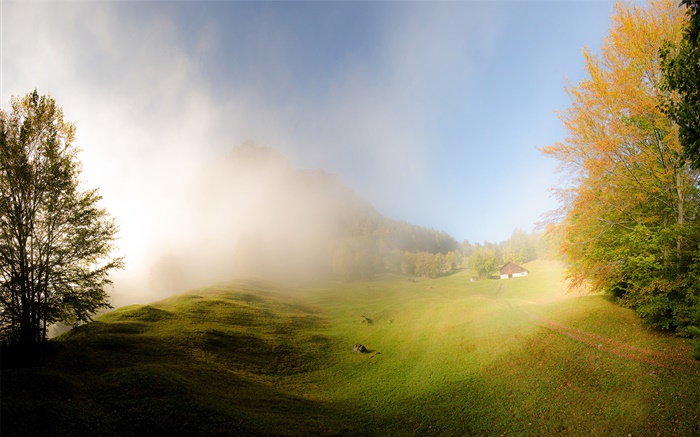 草、霧、朝、家、グラールス、スイス 壁紙 ピクチャー