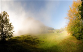 草、霧、朝、家、グラールス、スイス