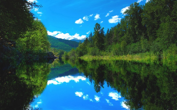 湖、森、木、青空、水反射 壁紙 ピクチャー