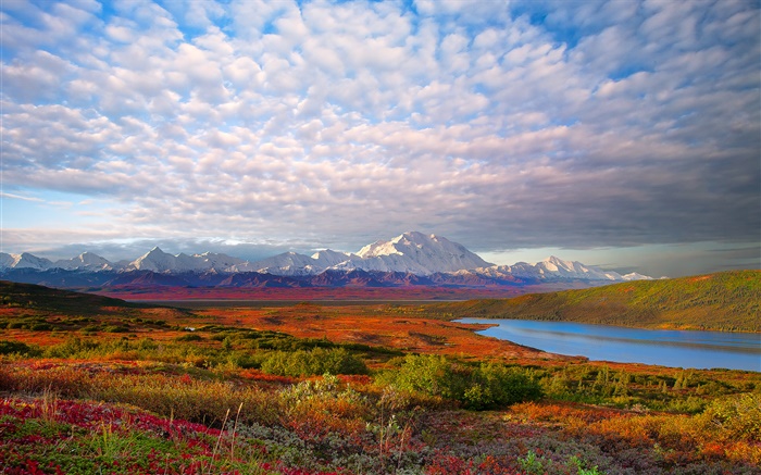 湖、木、雲、夕暮れ、デナリ国立公園、アラスカ州、アメリカ 壁紙 ピクチャー